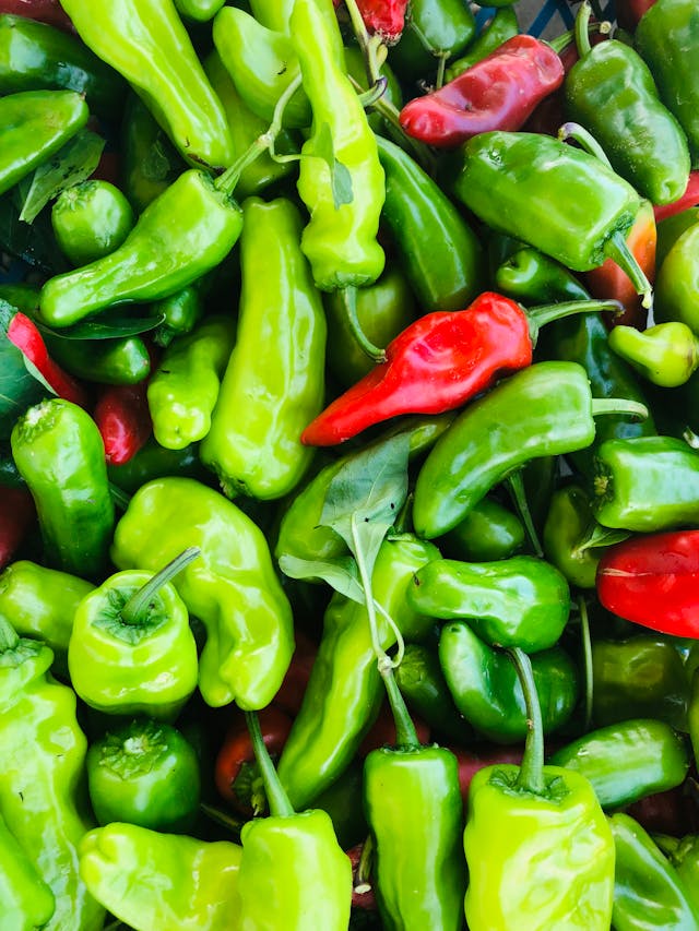 Bell Pepper