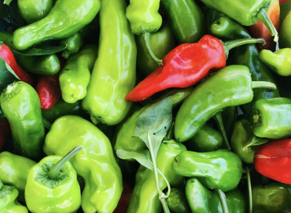 Fresh Vegetables